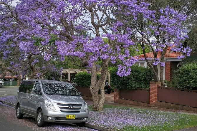 Sydney Secrets and Bondi Beach 4 HOUR MORNING PRIVATE TOUR - Bondi Beach: what 1 hour on the sand really gives you