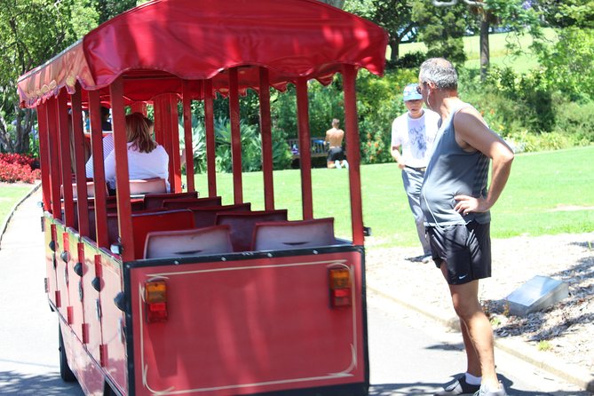 Sydney Shore Excursion: Half-Day Sydney City Highlights and Manly - The Half-Day Mix That Works When You’re Short on Time