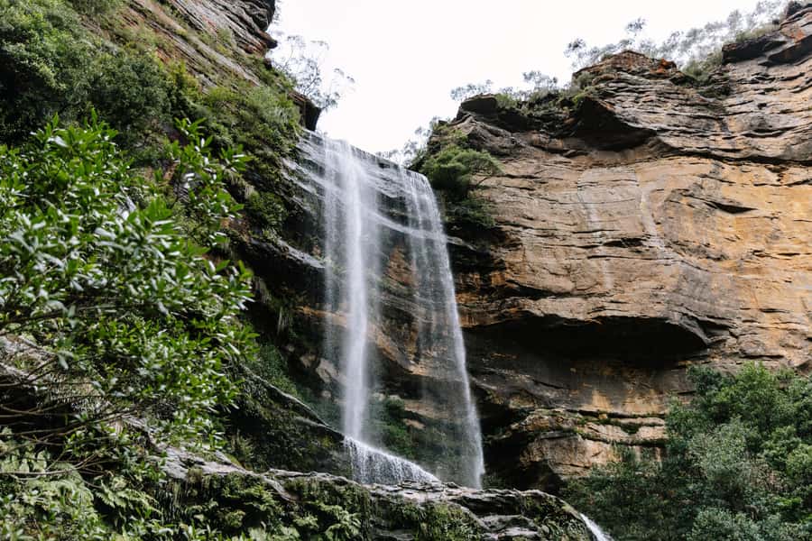 Sydney: Small Group Blue Mountains, Wildlife & Waterfalls - Picking up in Sydney: convenient central start, not a hassle