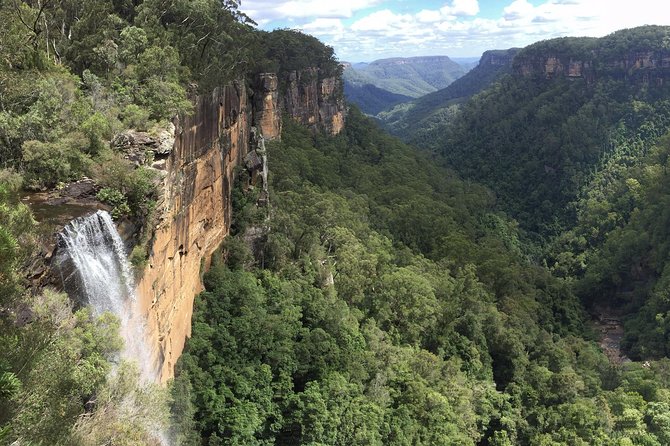 Sydney South Coast to Country Private Tour | Grand Pacific Drive - Berry and Cambewarra: small towns, wide views, and lunch you choose