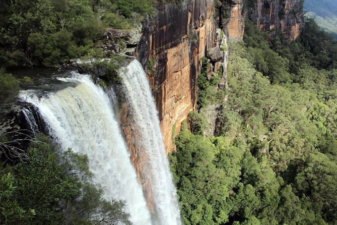 Sydney South Coast to Country Private Tour | Grand Pacific Drive - Fitzroy Falls: the rainforest track payoff