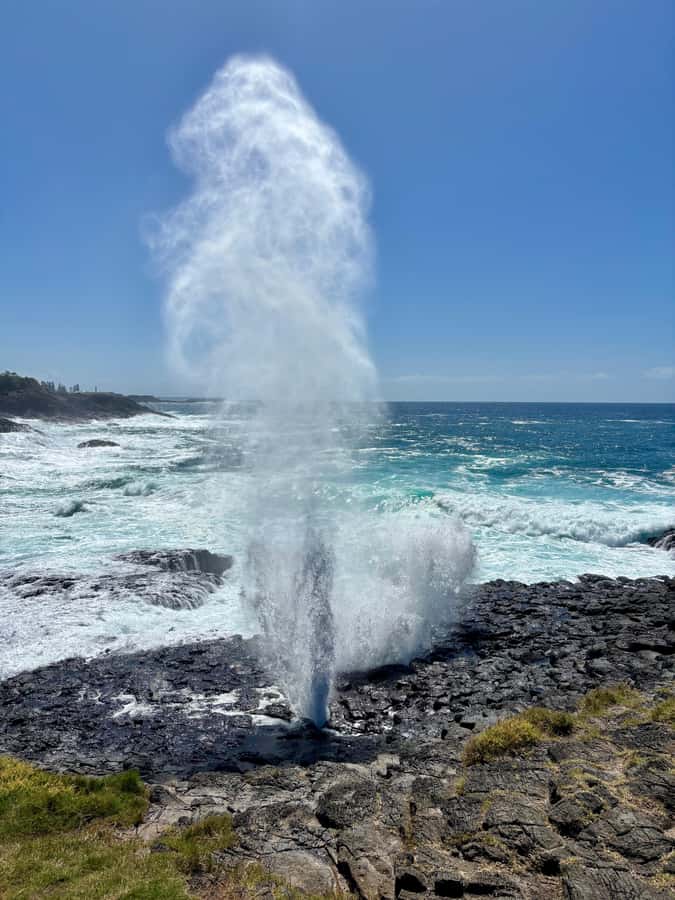 Sydney: Southern Highlands and South Coast Private Tour - Price and value: is $322 per person a fair deal?