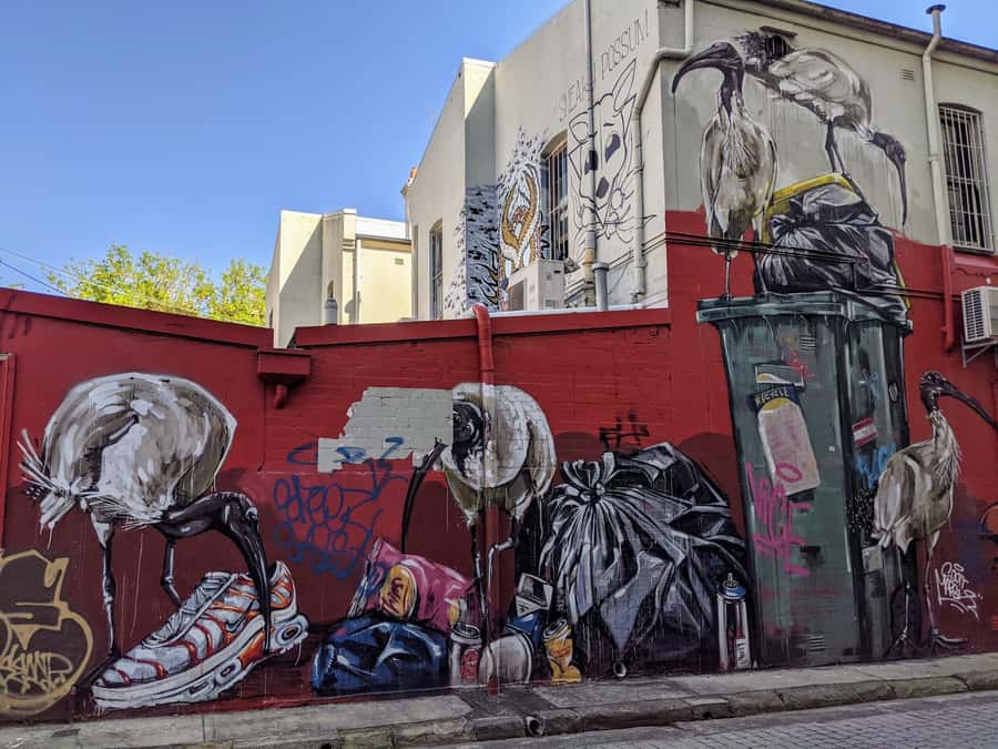 Sydney: Street Art & Small Bar Tour with Complimentary Drink - Meeting Points and the First Mural Moment