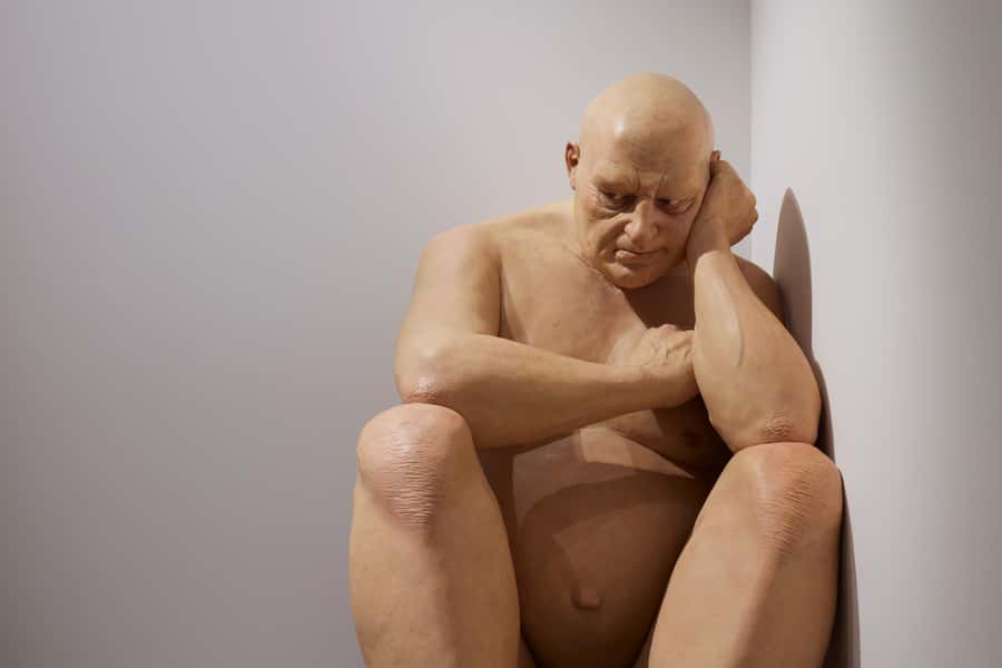 Sydney Summer Art Exhibitions Art Gallery of New South Wales - Sydney Art Pass: turning one day into two major exhibitions