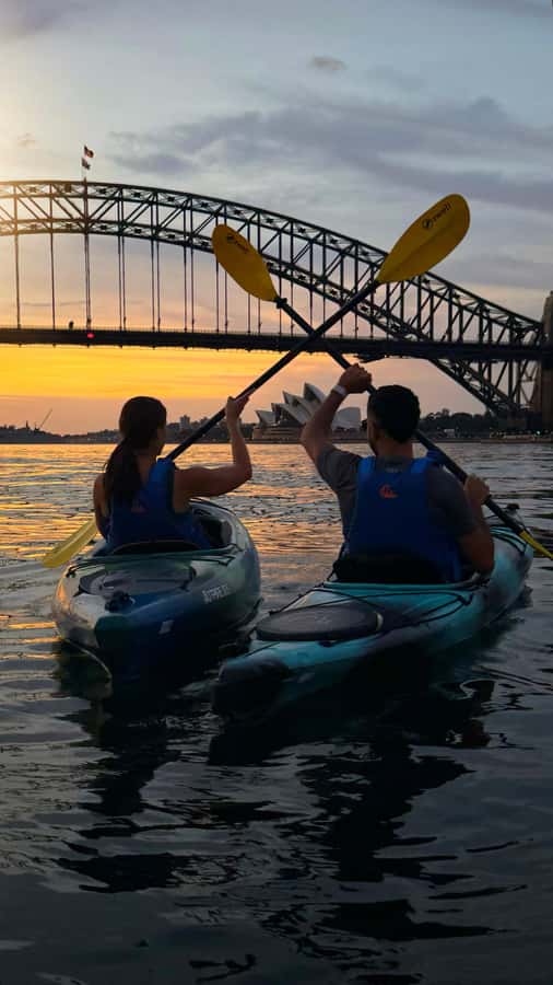 Sydney Sunrise Kayak Tour on Sydney Harbour - Why This 90-Minute Sunrise Kayak Feels Like the Right Amount of Time