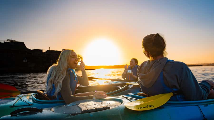 Sydney Sunrise Kayak Tour on Sydney Harbour - Who This Tour Suits Best (and Who Should Skip It)