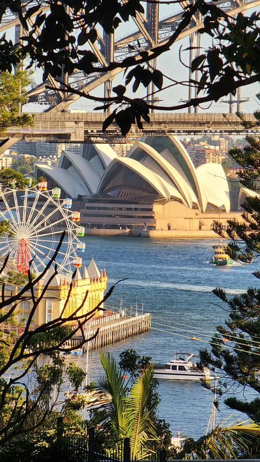 Sydney: Sunset Kayak - Opera & Harbour Bridge Tour (5p. max) - Getting Comfortable on the Water: Coaching That Actually Helps
