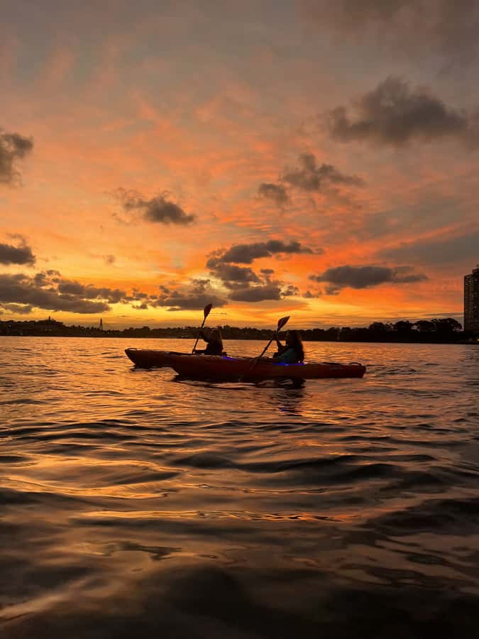 Sydney: Sunset Kayak Tour on Sydney Harbour - Photo Stops and Guide-Run Moments: Why You Won’t Waste Your Sunset