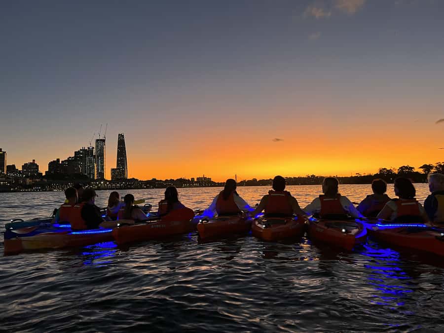 Sydney: Sunset Kayak Tour on Sydney Harbour - Lavender Bay Boatramp to Prue’s Beach: Getting Started Without Stress