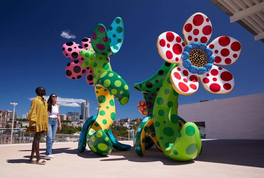 Sydney: Tickets & Tours at Art Gallery of New South Wales - Sydney Harbour art, on Gadigal Country