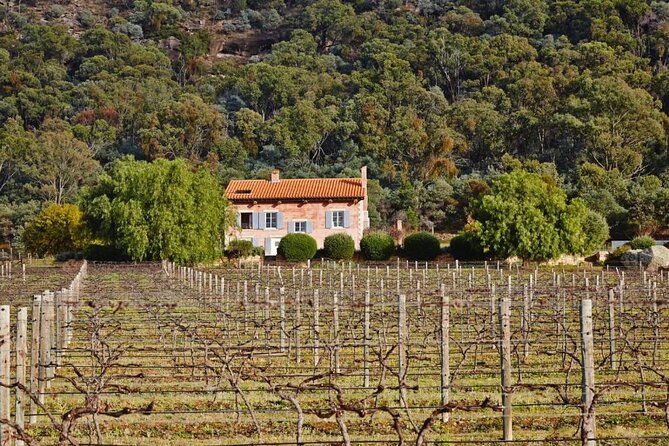 Sydney to Hunter Valley Wine Tour | Gin, Lunch, Chocolatier Visit - Café CouCou at Keith Tulloch Wines: lunch with a set-price option