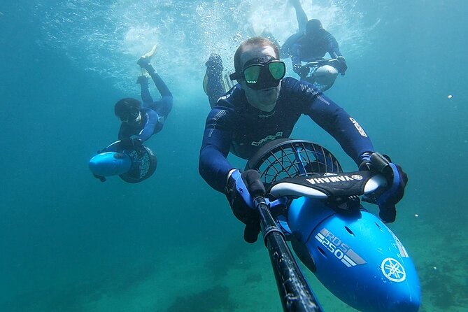 sydney underwater scooter tours - Key Highlights Worth Planning For