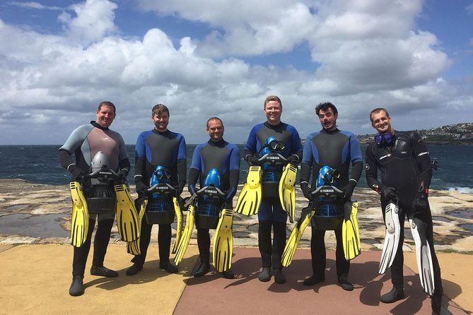 sydney underwater scooter tours - 90 Minutes of Exploring Clovelly’s Marine Life