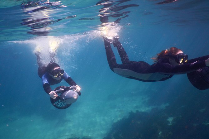 sydney underwater scooter tours - Suit-Up and Safety Orientation: What You Learn Before You Glide
