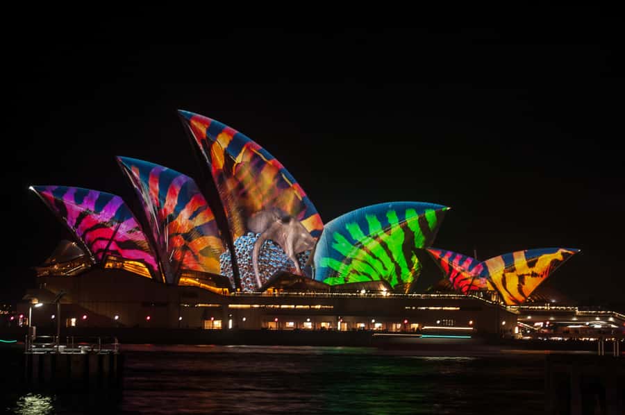 Sydney: Vivid Festival of Light Harbor Cruise with Dinner - Vivid Sydney From the Water: What the 90 Minutes Really Gives You