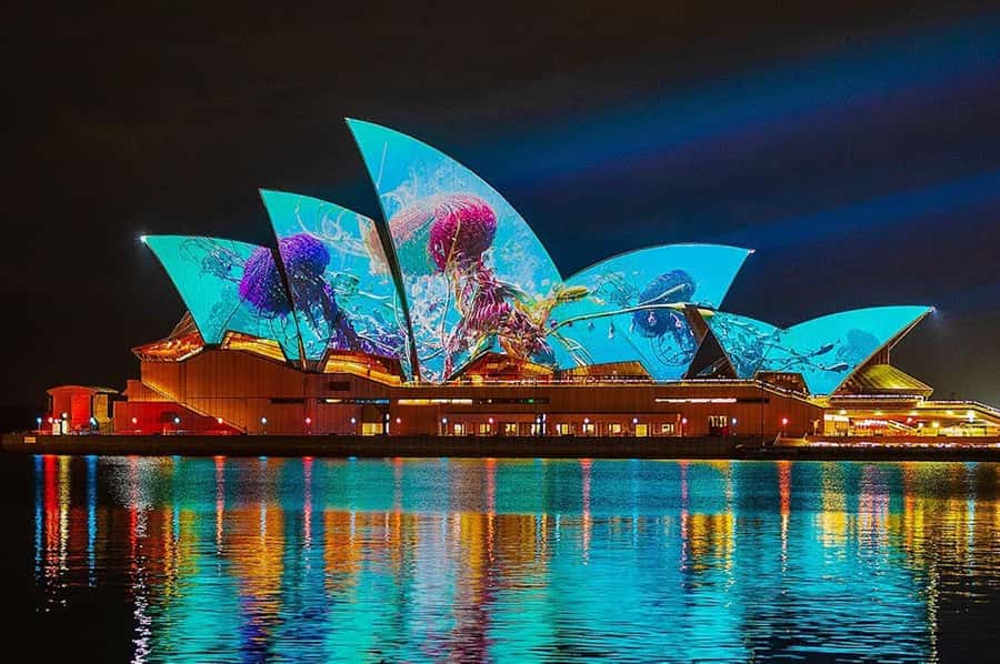 Sydney: Vivid Harbour Cruise with Canapes - Canapés and your included drink: why this ticket feels fair