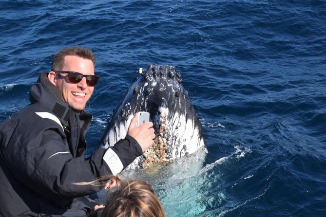 Sydney Whale-Watching by Speed Boat - Ocean Extreme: jackets, timing, and staying focused during the action