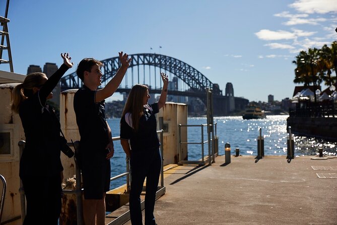 Sydney Whale-Watching Cruise Including Lunch or Breakfast - The humpback and southern right hunt (May to November)