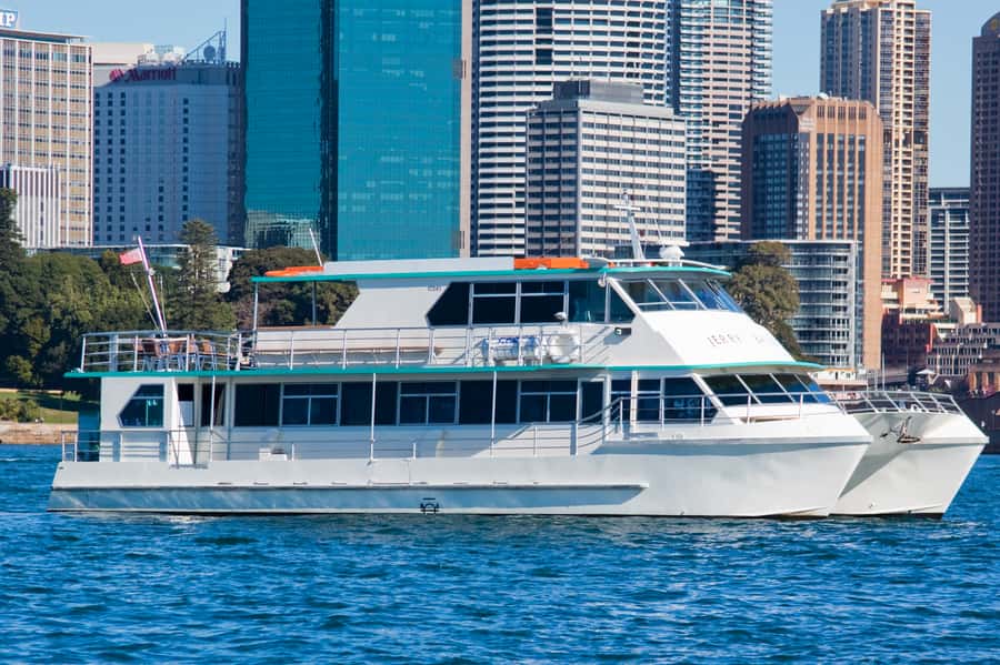 Sydney Whale Watching Cruise with Breakfast or Lunch - Who should book this whale cruise, and who should skip it