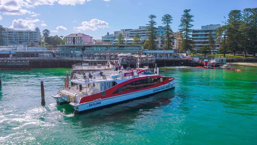 Sydney: Whale Watching & Hop On Hop Off Cruise Package - Who should book this Sydney cruise package