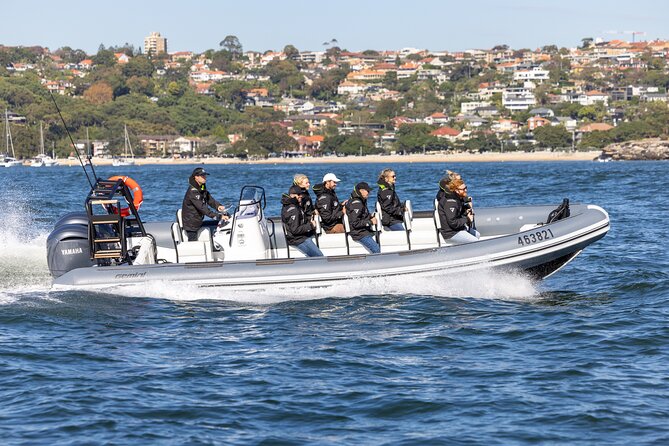 Sydney Whale Watching on Small RIB - Key highlights in plain language