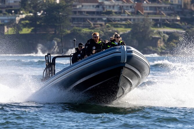 Sydney Whale Watching on Small RIB - Why a 12-Passenger RIB Makes Sydney Whale Watching Feel Personal