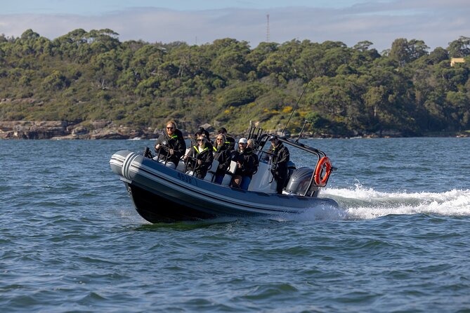 Sydney Whale Watching on Small RIB - Harbour Views on the Way to Sydney Heads