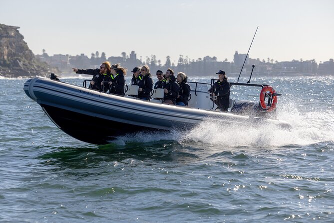 Sydney Whale Watching on Small RIB - The Whale Search Window: What You’re Actually Looking For