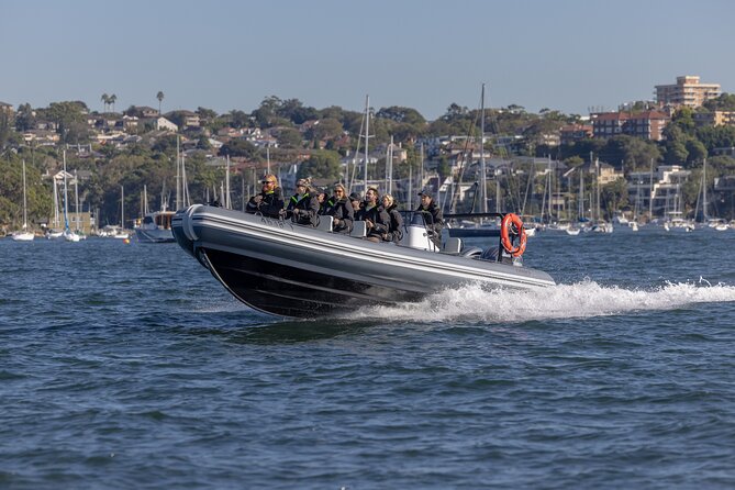 Sydney Whale Watching on Small RIB - The High-Speed Return: Relax, Then Enjoy the Coastal Views