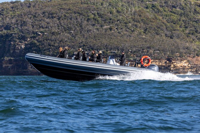 Sydney Whale Watching on Small RIB - Price and Value: Is $98.93 for 2 Hours a Good Deal?
