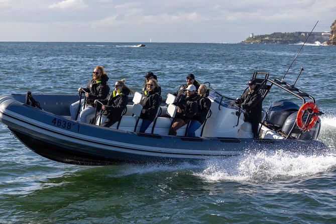 Sydney Whale Watching on Small RIB - Who This Tour Fits Best (and Who Should Pick Another Style)