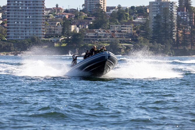 Sydney Whale Watching on Small RIB - Tips to Maximize Your Odds of a Great Whale Day