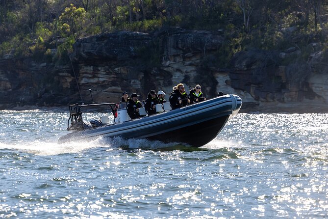 Sydney Whale Watching on Small RIB - Meeting at Circular Quay: The Location That Sets the Tone