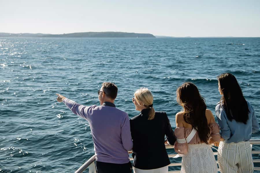 Sydney: Whale Watching & Wildlife Cruise - The boat and viewing comfort: all-weather lounge, outdoor decks, and sound