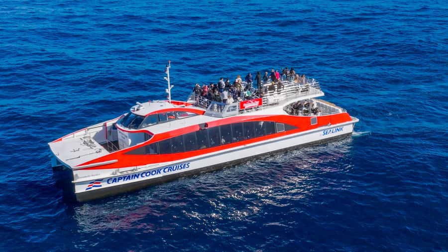 Sydney: Whale Watching & Wildlife Cruise - Sea motion, cold spray, and how to avoid a miserable ride