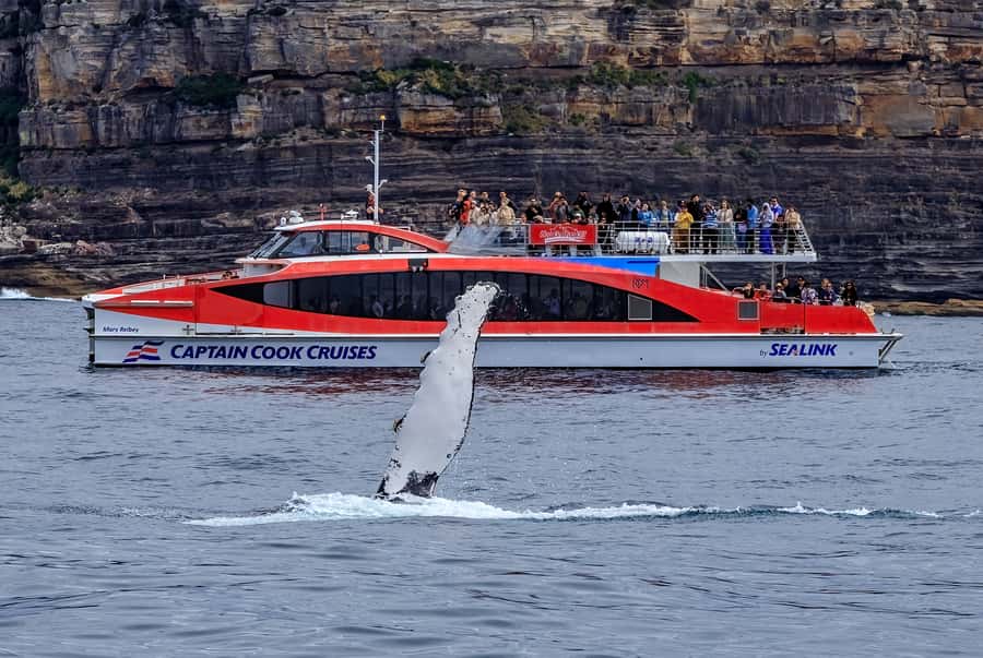 Sydney: Whale Watching & Wildlife Cruise - Who should book (and who might want a different plan)