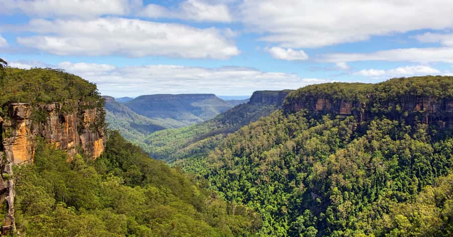 Sydney: Wildlife, Waterfalls and Wine Small Group Tour - Price and comfort: what you actually get for $258