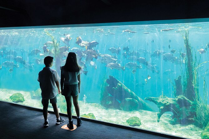Sydney Zoo General Entry Admission Ticket - Primate Boulevard and south-east Asia: how to plan your viewing