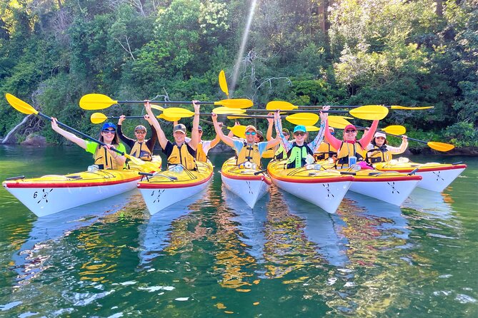 Sydney's Middle Harbour Sea Kayaking Eco Tour (Fully Guided) - Gliding Along Middle Harbour: Coves, Wildlife, and Story Stops