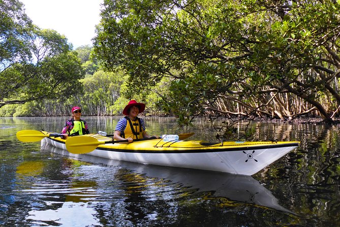 Sydney's Middle Harbour Sea Kayaking Eco Tour (Fully Guided) - Group Size, Pacing, and Why “Small” Changes Everything