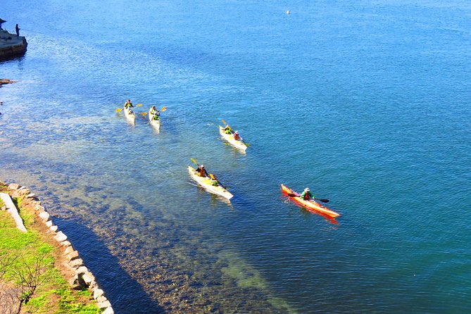 Sydney's Middle Harbour Sea Kayaking Eco Tour (Fully Guided) - The 20-Minute Safety Briefing That Actually Helps