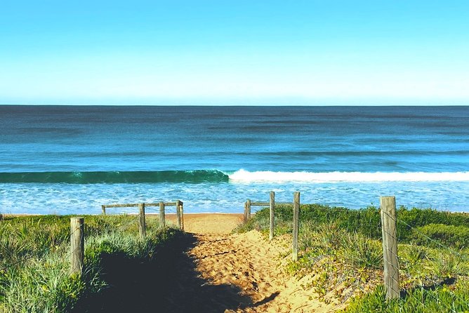 Sydney's Northern Beaches & Ku-ring-gai National Park Small Tour departing Manly - Narrabeen, Long Reef, Freshwater: beaches with character and one whale-season bet