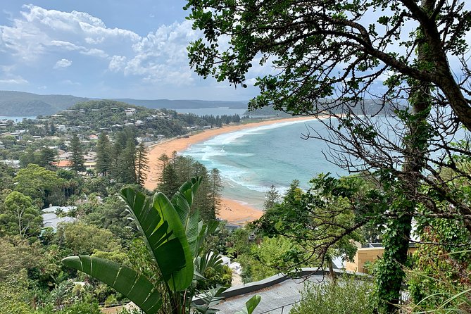 Sydney's Northern Beaches & Ku-ring-gai National Park Small Tour departing Manly - Who should book this tour, and who might want something else