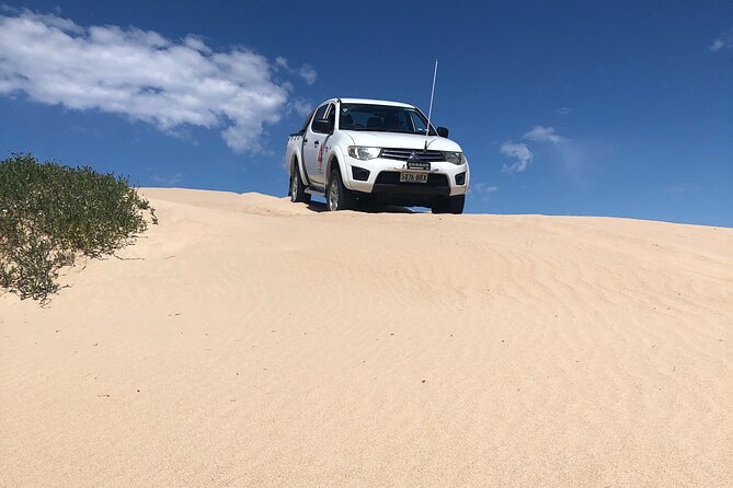 Tag along 4x4 tours Robe and Beachport - Who should book this tour (and who might not)