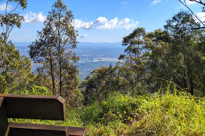 Tamborine Mountain and Paradise Point Tour from Brisbane - A Small-Group Day from Brisbane to Tamborine and Paradise Point