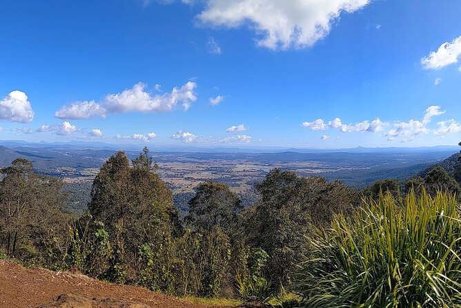 Tamborine Mountain and Paradise Point Tour from Brisbane - Morning Pickup at 8:30 am: Where the Day Starts and How It Flows