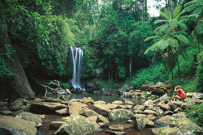 Tamborine Mountain - Hop On Hop Off - From Brisbane - Key points to know before you go