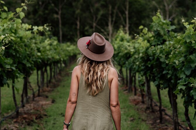 Tamborine Mountain - Hop On Hop Off - From Brisbane - The hop on hop off rhythm (and why it matters)