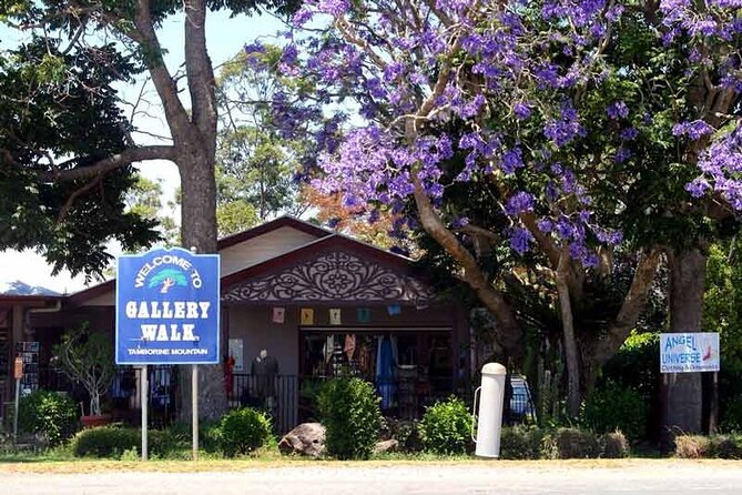 Tamborine Mountain - Hop On Hop Off - From Brisbane - Who this trip suits best (and who should tweak the plan)