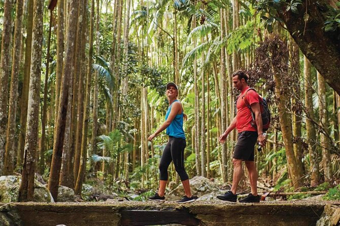 Tamborine Mountain - Hop On Hop Off - From Brisbane - Price and value: is $71.01 a fair deal?